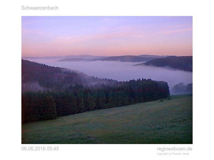 Pension Forsthaus Taele - Das Gaestehaus Vom Schwarzwaldgasthaus Salenhof Titisee-Neustadt Kültér fotó
