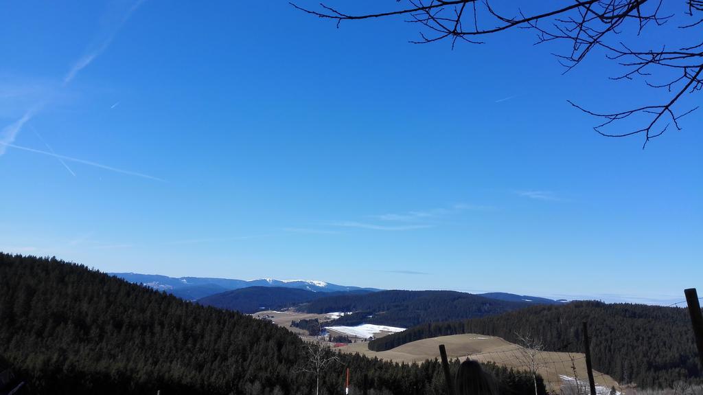 Pension Forsthaus Taele - Das Gaestehaus Vom Schwarzwaldgasthaus Salenhof Titisee-Neustadt Kültér fotó