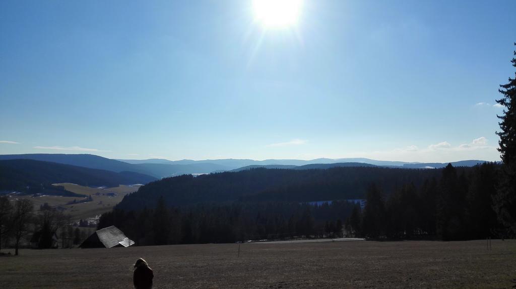 Pension Forsthaus Taele - Das Gaestehaus Vom Schwarzwaldgasthaus Salenhof Titisee-Neustadt Kültér fotó