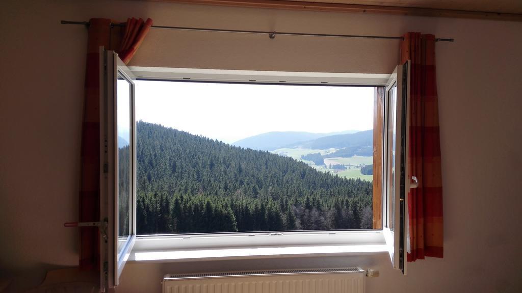 Pension Forsthaus Taele - Das Gaestehaus Vom Schwarzwaldgasthaus Salenhof Titisee-Neustadt Kültér fotó