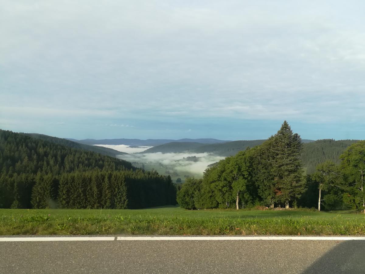 Pension Forsthaus Taele - Das Gaestehaus Vom Schwarzwaldgasthaus Salenhof Titisee-Neustadt Kültér fotó