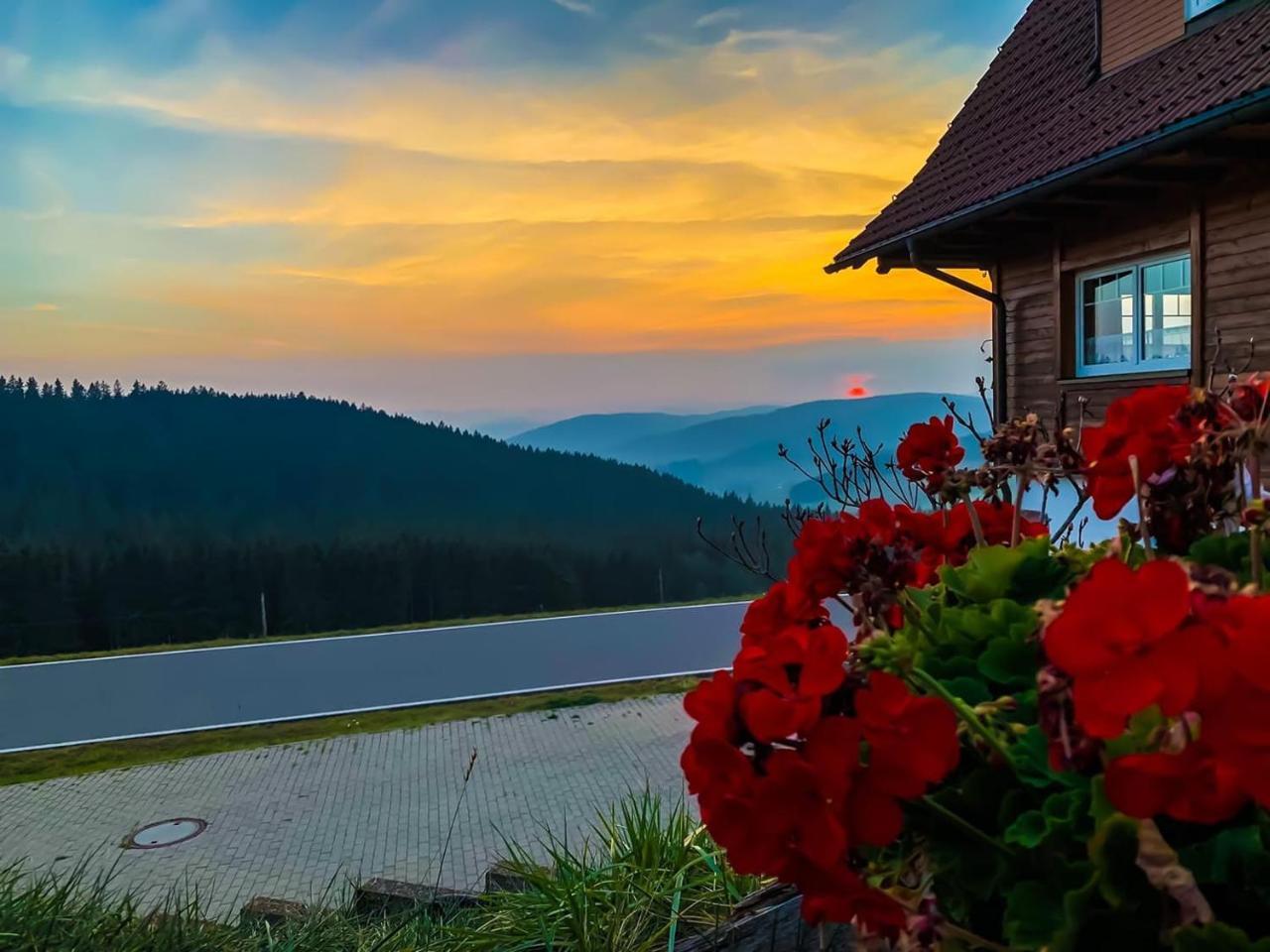 Pension Forsthaus Taele - Das Gaestehaus Vom Schwarzwaldgasthaus Salenhof Titisee-Neustadt Kültér fotó